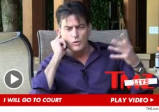Charlie Sheen — My Kids Are in Danger … My Ex Brooke Mueller is an Evil Whore