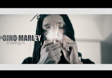 Gino Marley – Diego Pt 1 (Official Video) Shot By @AZaeProduction